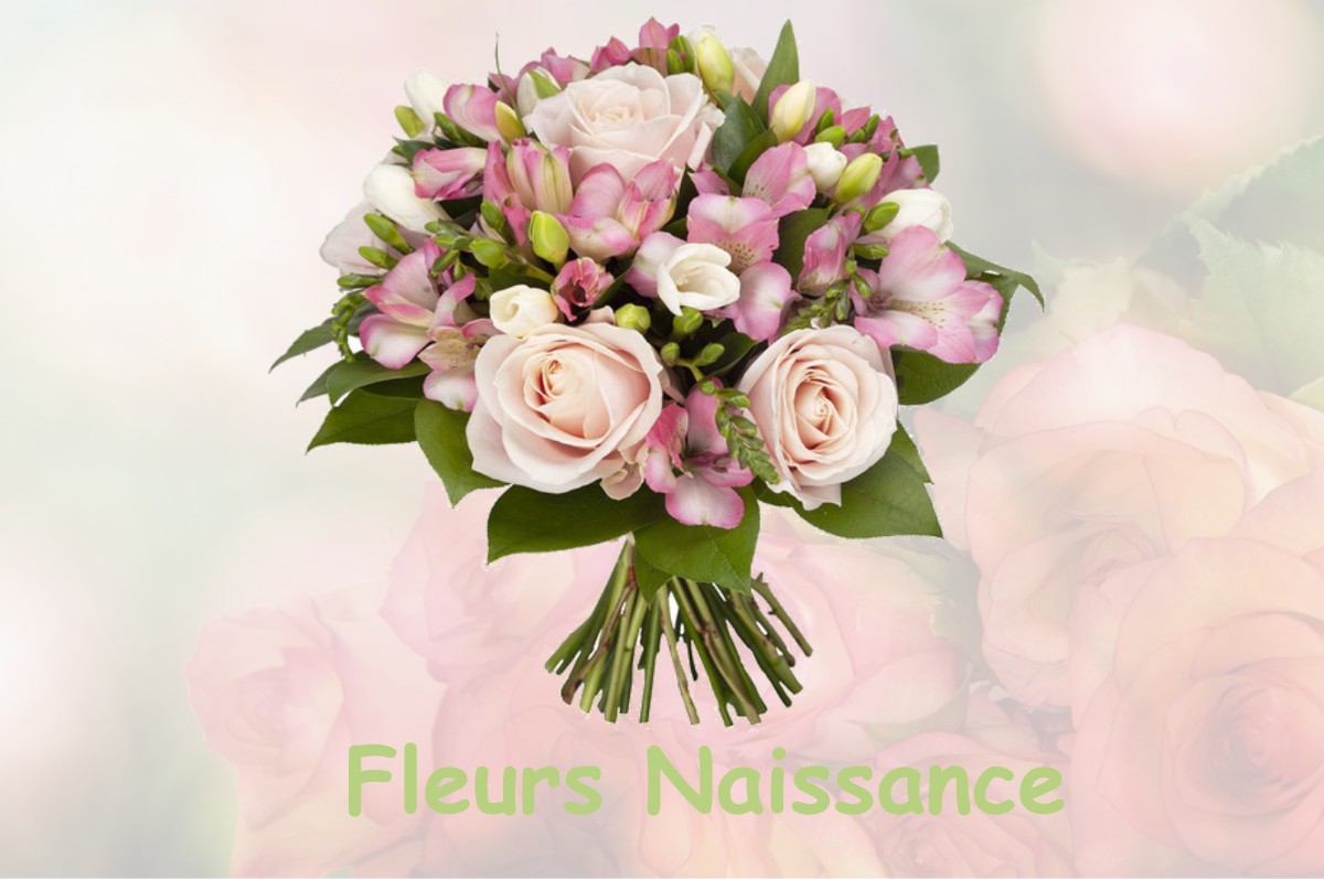 fleurs naissance BAZOUGES-LA-PEROUSE